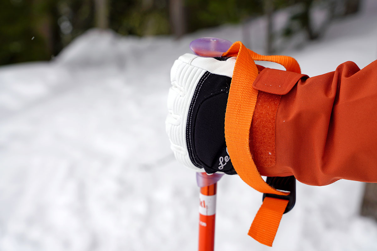 Ski pole (holding pole with Leki gloves)